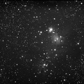 NGC2264 Nebulosa Cono-8x300sec-b-ridotta