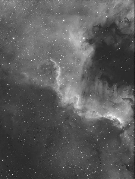 NGC7000_20110730_383L_FLT110_9x300_DAVI.jpg