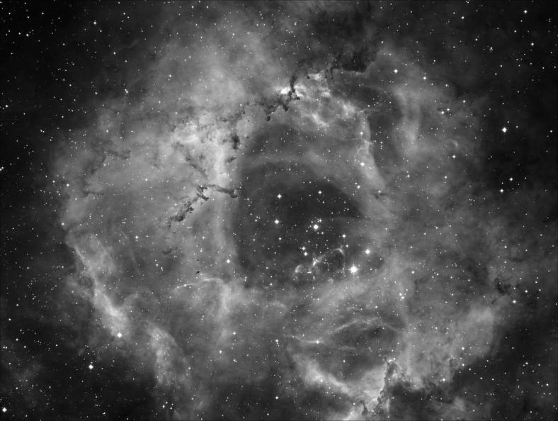 NGC2237 20131207 BENE.jpg