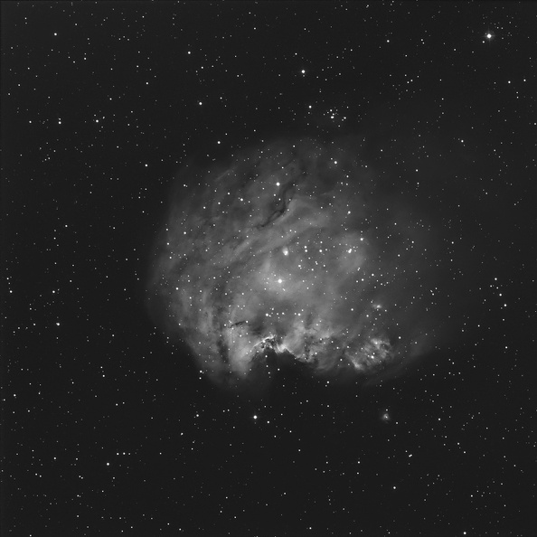 NGC2174_Monkey_Nebula_OrionUK_Ha_011109_CIRACI.jpg