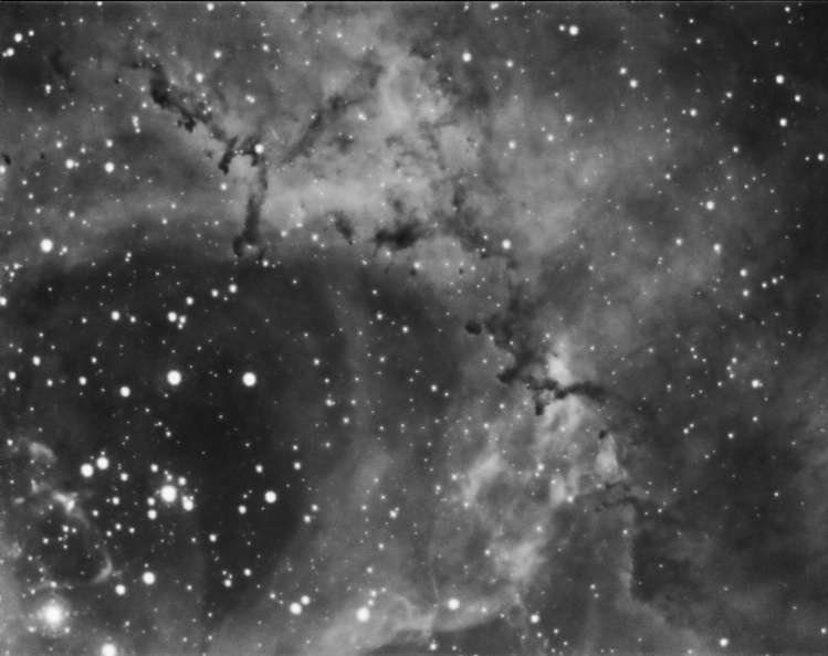 NGC_2237_20091104_sdm.jpg