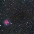 IC5146 Cocoon Nebula 220710 CIRACIfinale