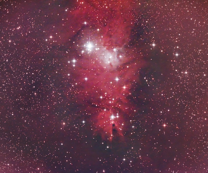 NGC2264_20090313_CIRA.jpg