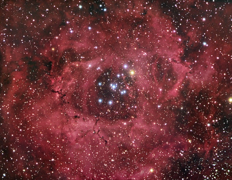 NGC2237_Rosette_GP.jpg