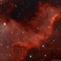 NGC7000 20071014 LRGB DAVI