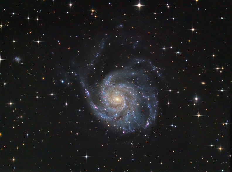M101_x1280_GP.jpg