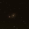 Nobili M51