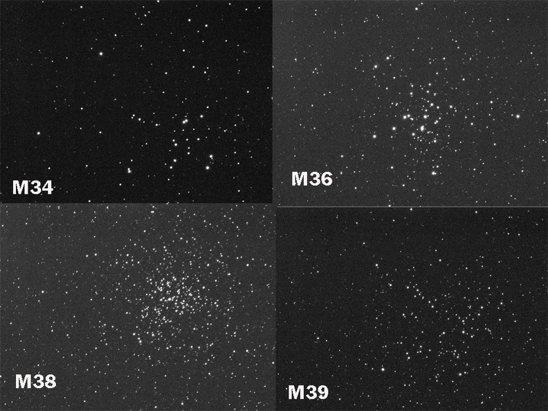 Muccini_M24-M36-M38-M39.jpg