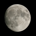 Luna30604.jpg