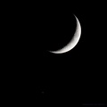 Luna Saturno Actp11-11-18-n