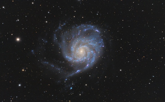 M101 2022-06-01 CUOZZO