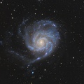 M101 2022-06-01 CUOZZO