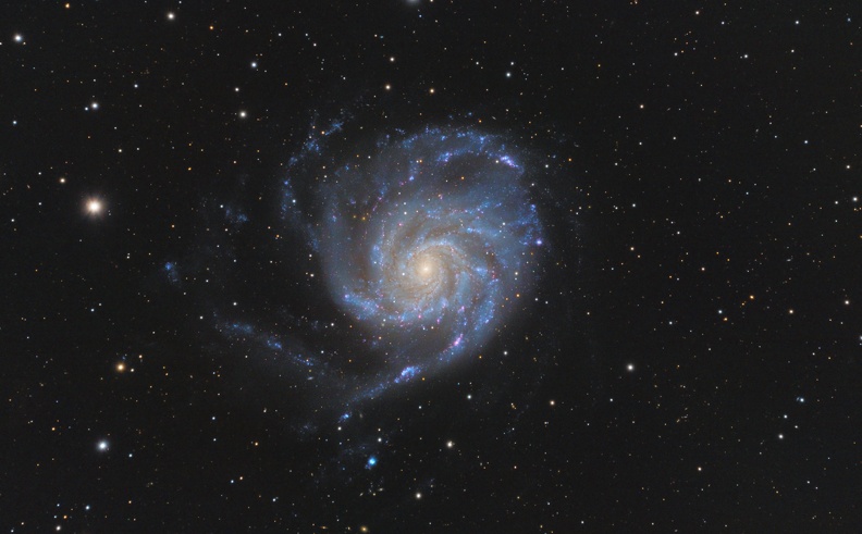 GAL-M101.jpg