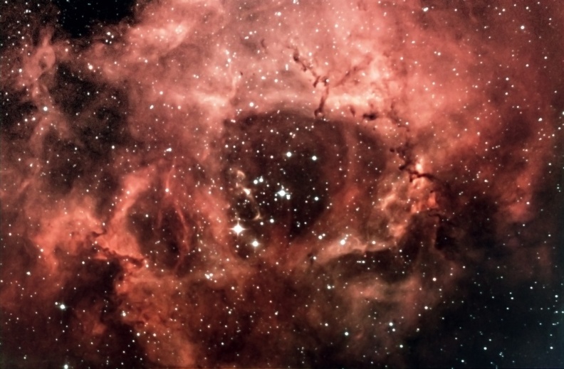 Nebulosa Rosetta (NGC2237).jpg