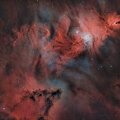 NGC2264 20241228 C9HYPERSTAR ASI294MC CINQUE